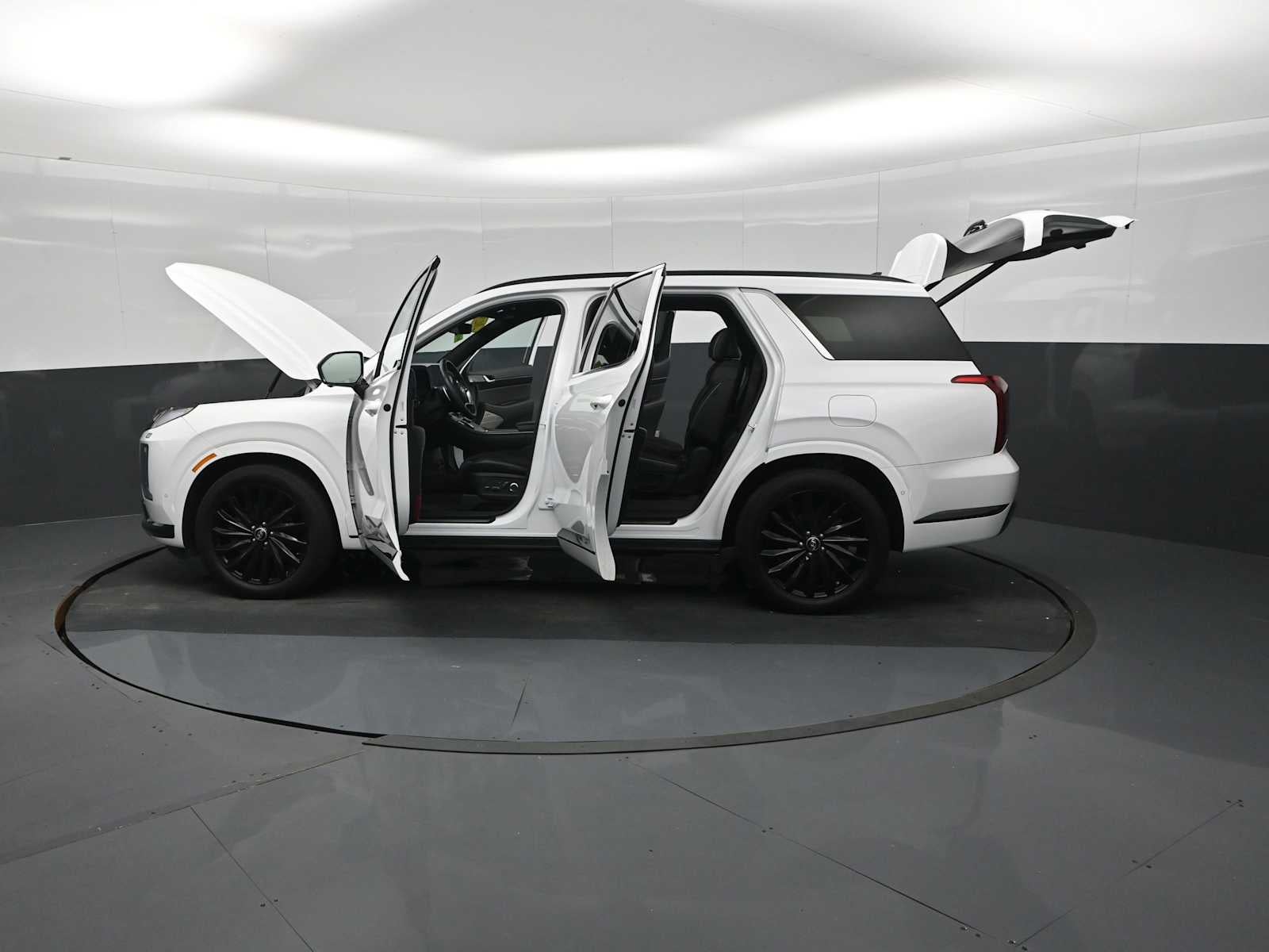 2025 Hyundai Palisade Calligraphy Night Edition